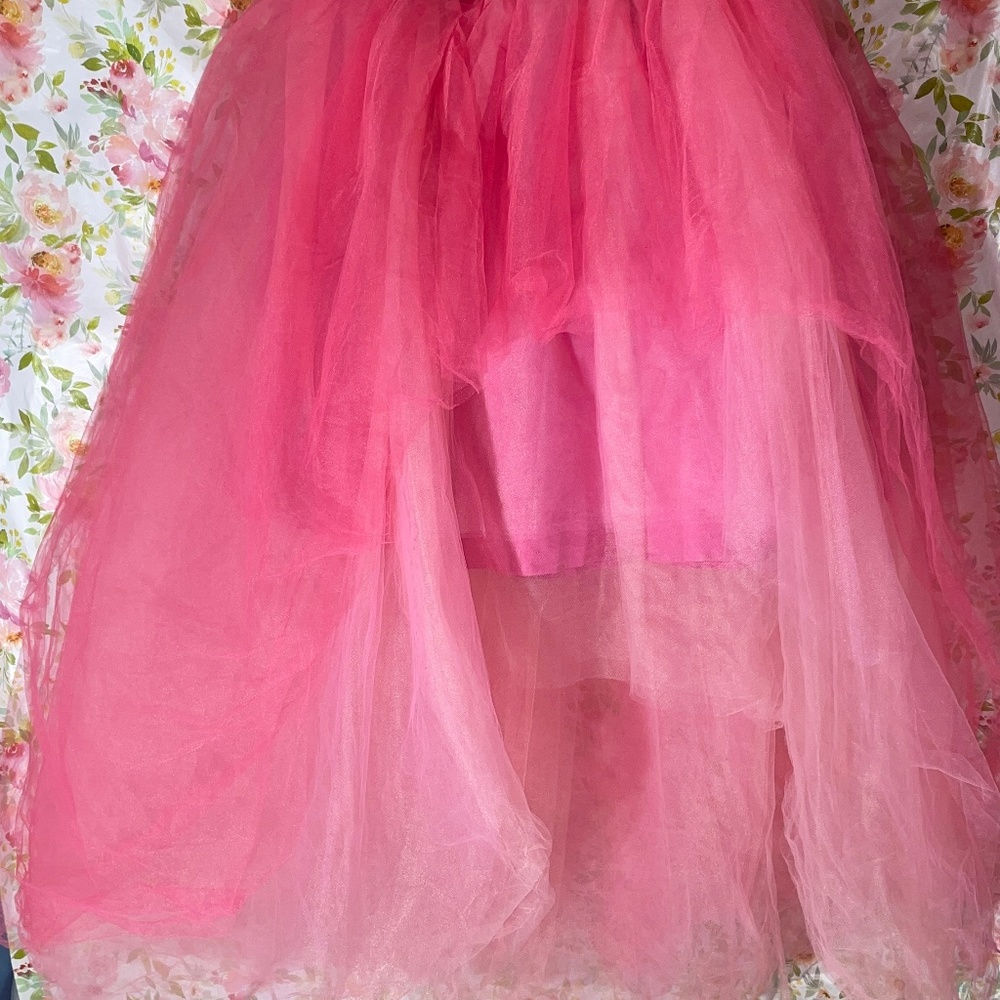 Hutch Asymmetrical Tulle Skirt-Valentines Must Have - Picture 4 of 4